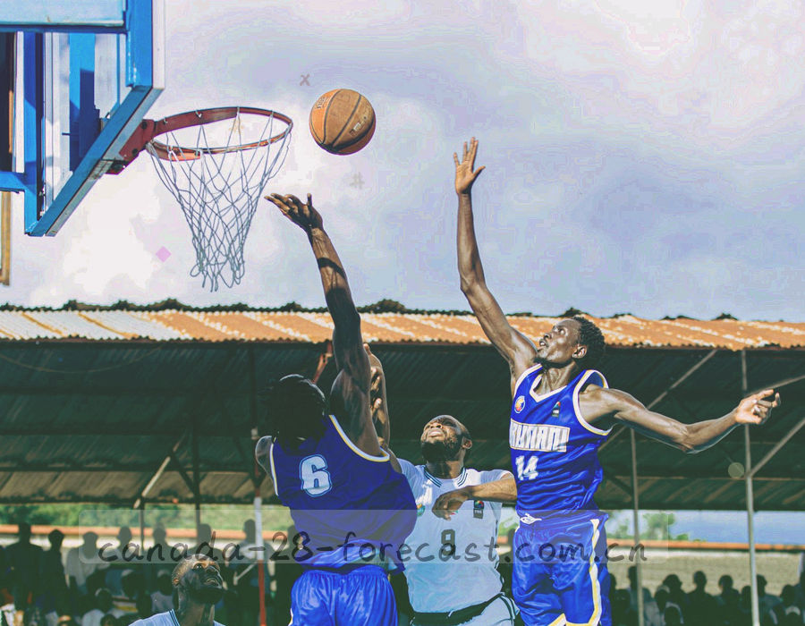 自上而下分支的排查流程图示意，节点为圆角矩形，无具体文字